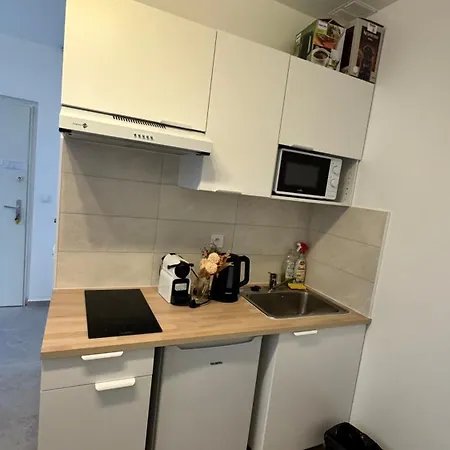 Ground Floor-apart Near The Eiffel Tower פריז
